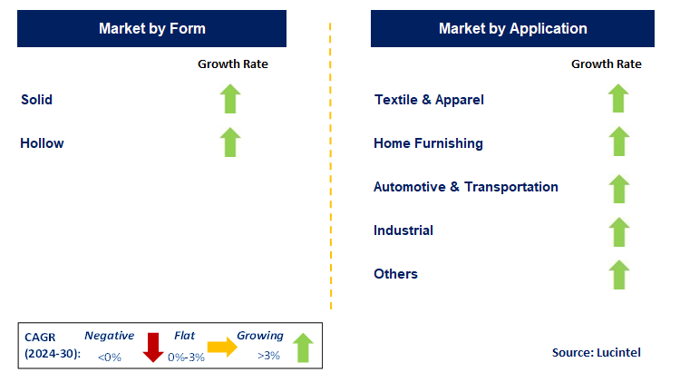 Polyester Fiber by Segment